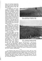 giornale/UM10003065/1942/unico/00000521