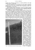 giornale/UM10003065/1942/unico/00000524