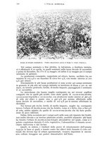 giornale/UM10003065/1942/unico/00000570