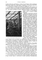 giornale/UM10003065/1942/unico/00000662