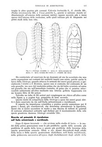 L'Italia agricola