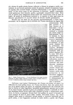 giornale/UM10003065/1942/unico/00000691