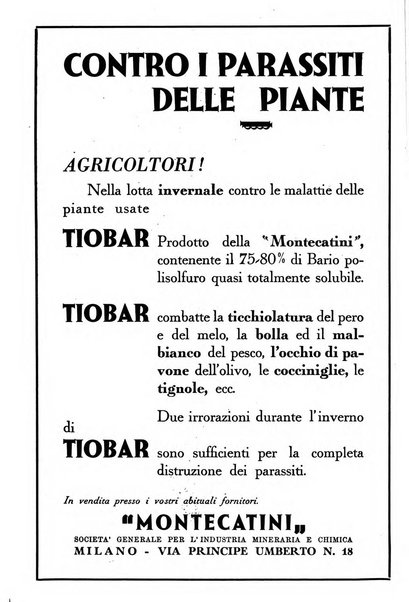 L'Italia agricola