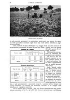 giornale/UM10003065/1943/unico/00000036