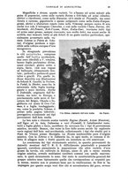 giornale/UM10003065/1943/unico/00000071