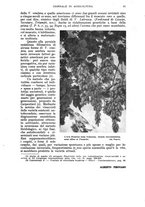 giornale/UM10003065/1943/unico/00000073