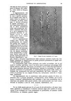 giornale/UM10003065/1943/unico/00000077