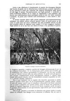 giornale/UM10003065/1943/unico/00000111