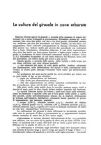 giornale/UM10003065/1943/unico/00000115