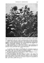 giornale/UM10003065/1943/unico/00000117