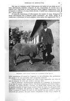 giornale/UM10003065/1943/unico/00000165