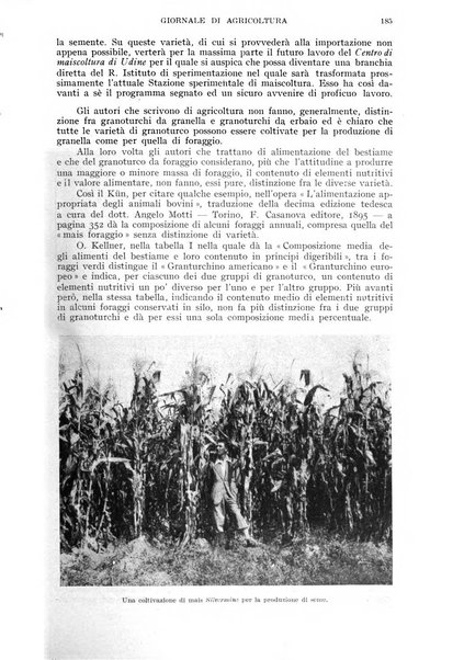 L'Italia agricola