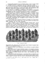 giornale/UM10003065/1943/unico/00000212