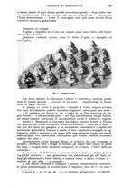 giornale/UM10003065/1943/unico/00000213