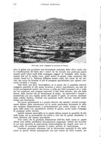 giornale/UM10003065/1943/unico/00000222