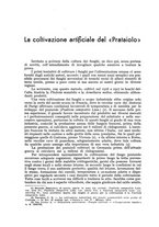 giornale/UM10003065/1943/unico/00000259