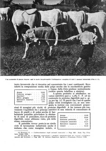 L'Italia agricola