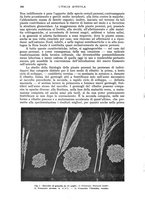 giornale/UM10003065/1943/unico/00000312