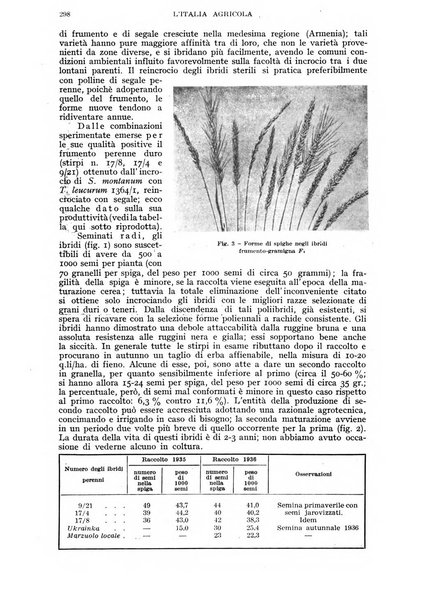 L'Italia agricola