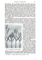 giornale/UM10003065/1943/unico/00000317