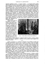 giornale/UM10003065/1943/unico/00000321