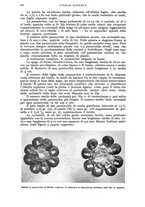 giornale/UM10003065/1943/unico/00000332