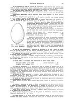 giornale/UM10003065/1943/unico/00000417