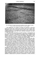 giornale/UM10003065/1943/unico/00000451