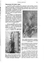 giornale/UM10003065/1943/unico/00000475