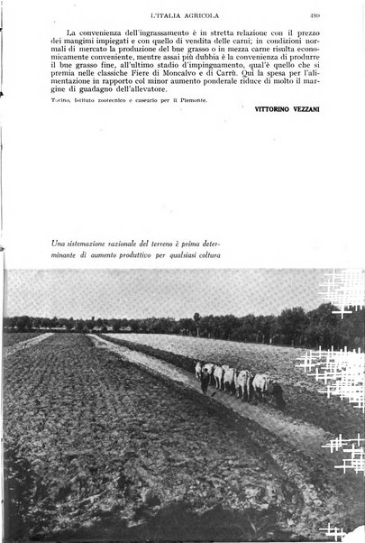 L'Italia agricola