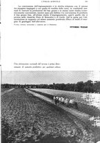 giornale/UM10003065/1943/unico/00000513