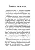 giornale/UM10003065/1943/unico/00000517