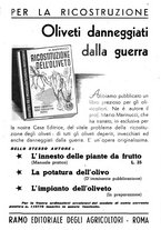 giornale/UM10003065/1945-1946/unico/00000011