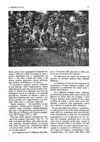 giornale/UM10003065/1945-1946/unico/00000033