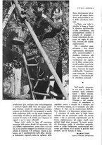 giornale/UM10003065/1945-1946/unico/00000034