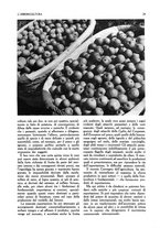 giornale/UM10003065/1945-1946/unico/00000043