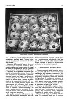 giornale/UM10003065/1945-1946/unico/00000049