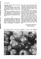 giornale/UM10003065/1945-1946/unico/00000055