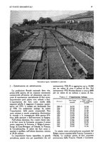 giornale/UM10003065/1945-1946/unico/00000059