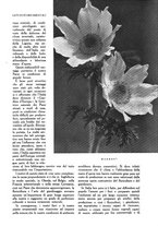 giornale/UM10003065/1945-1946/unico/00000063