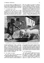 giornale/UM10003065/1945-1946/unico/00000073