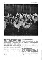 giornale/UM10003065/1945-1946/unico/00000074