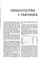 giornale/UM10003065/1945-1946/unico/00000077