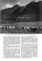 giornale/UM10003065/1945-1946/unico/00000079