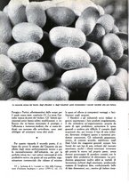 giornale/UM10003065/1945-1946/unico/00000084