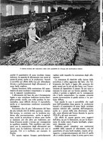 giornale/UM10003065/1945-1946/unico/00000086