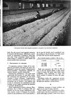 giornale/UM10003065/1945-1946/unico/00000087