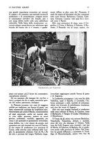 giornale/UM10003065/1945-1946/unico/00000107