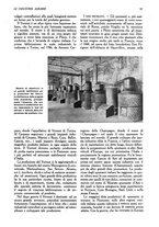 giornale/UM10003065/1945-1946/unico/00000111