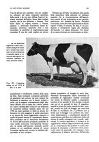 giornale/UM10003065/1945-1946/unico/00000119